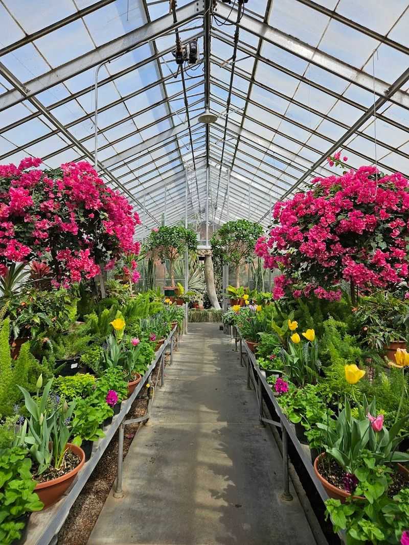 Impressive Greenhouses Full of Rare Plants Impressive Greenhouses Full of Rare Plants