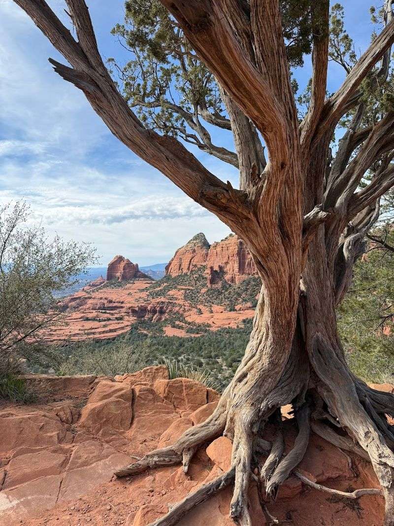 Incredible Photo Opportunities at Every Stop Along the Way Incredible Photo Opportunities at Every Stop Along the Way