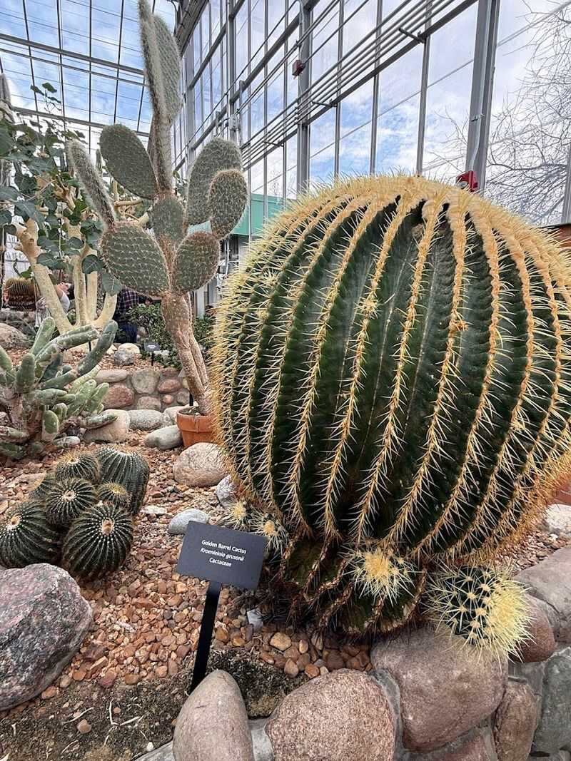 Incredible Plant Variety Labeled for Easy Learning