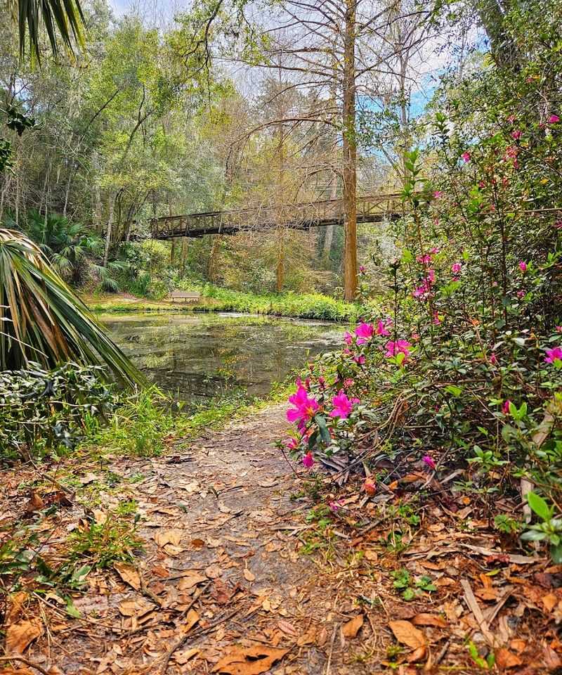 Incredible Wildlife and Native Florida Flora Around Every Corner