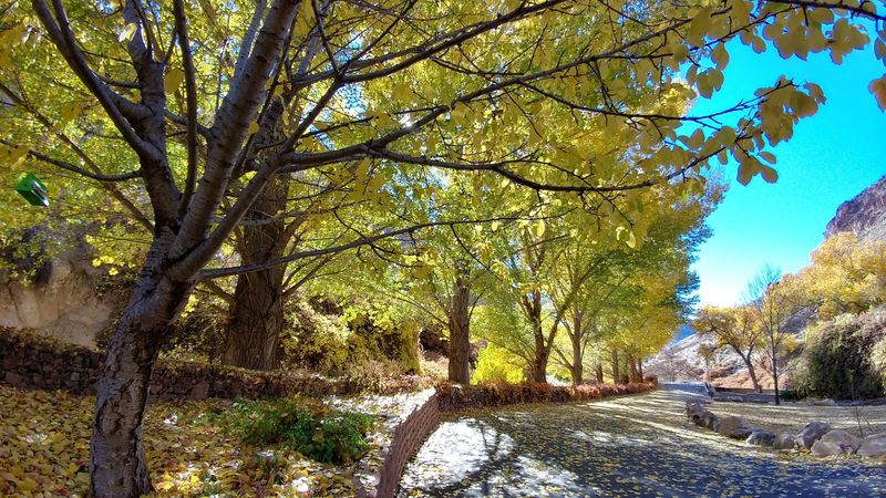 Inspirational Benches and Thoughtful Park Design