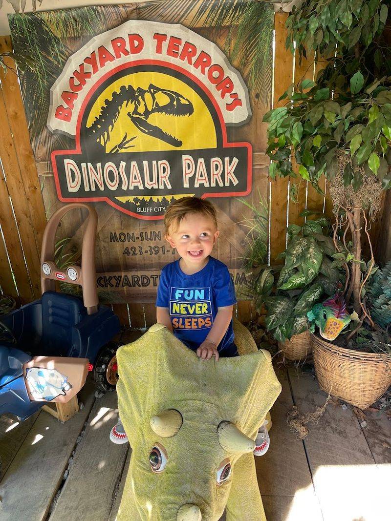 Interactive Activities and Dino Dig Area for Young Explorers