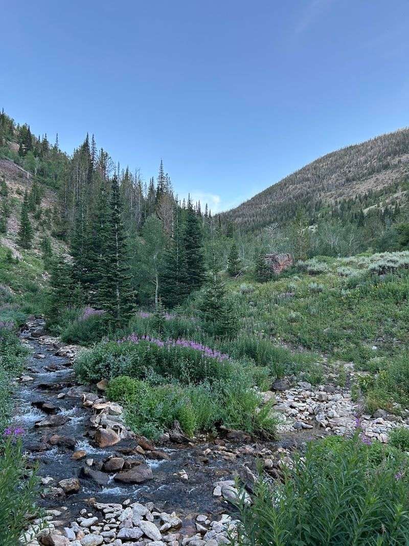 Jarbidge Wilderness - Jarbidge, Nevada