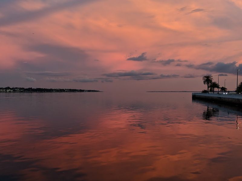 Jaw-Dropping Views of Tampa Bay