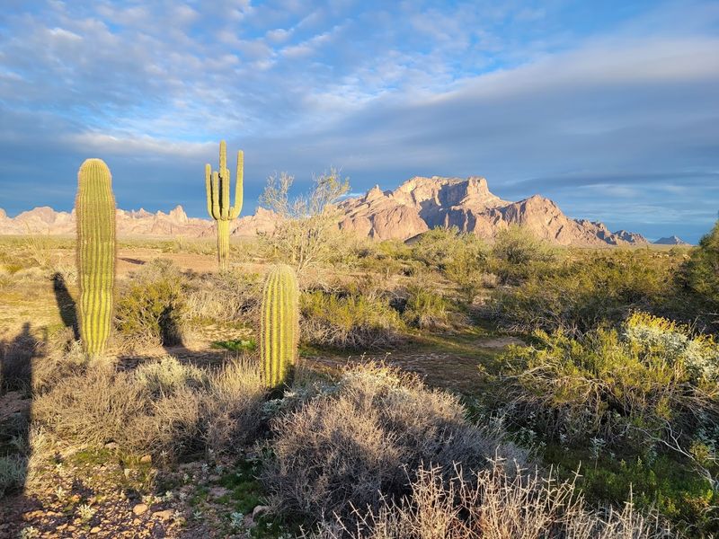 Jaw-Dropping Views of the Santa Catalina Mountains