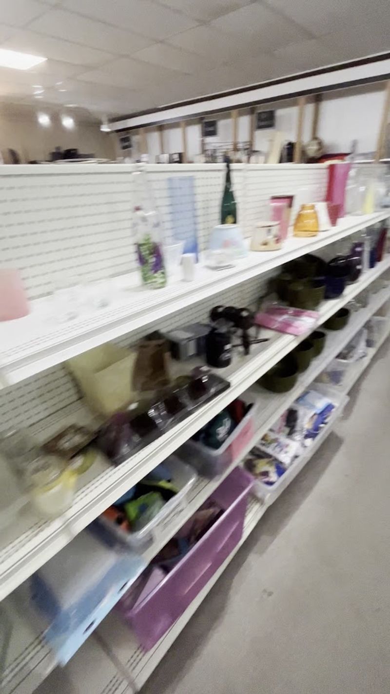 Jewelry Cases With Prices Ranging From $1 to Surprisingly High Jewelry Cases With Prices Ranging From $1 to Surprisingly High
