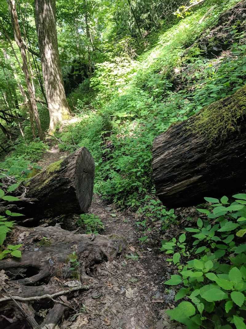 Joyce Kilmer Memorial Trail: A Walk Through History Joyce Kilmer Memorial Trail: A Walk Through History