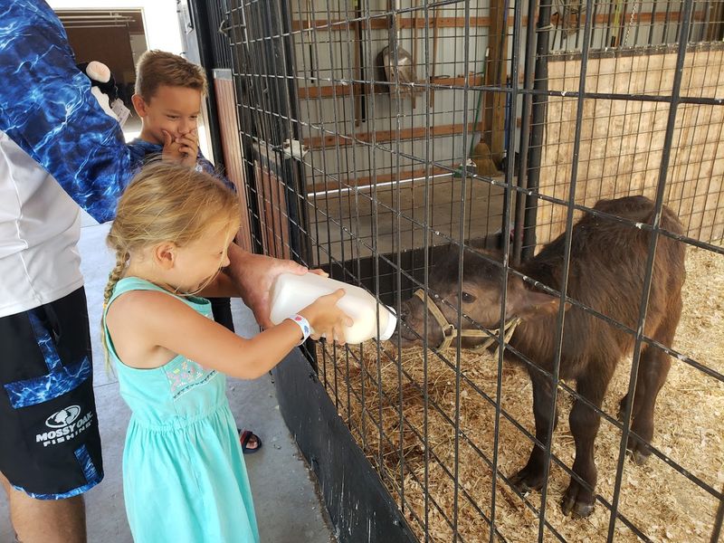 Jr. Zookeeper Experience — A Once-in-a-Lifetime Animal Adventure