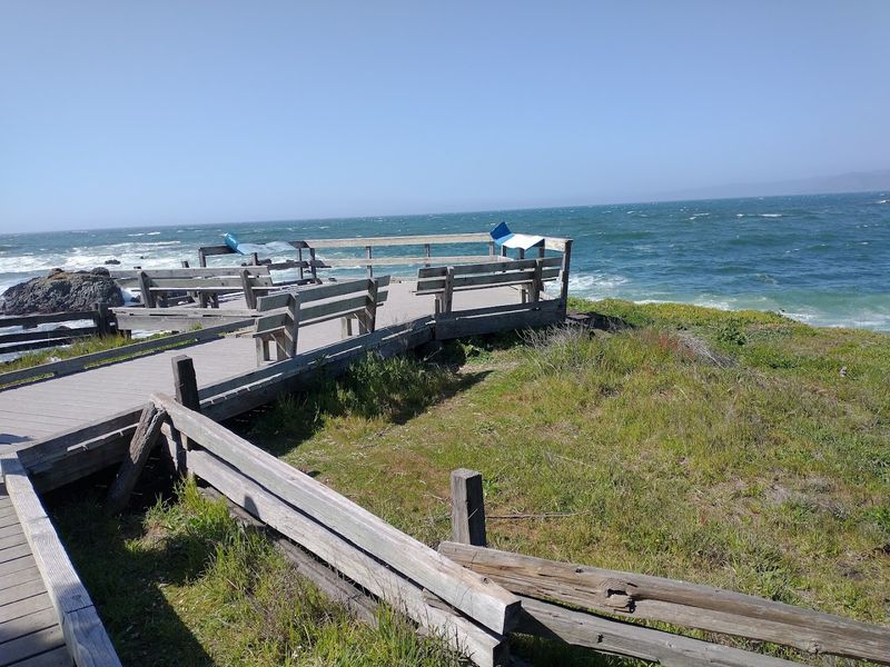 Jughandle State Natural Reserve: Nature's Staircase to the Past Jughandle State Natural Reserve: Nature's Staircase to the Past