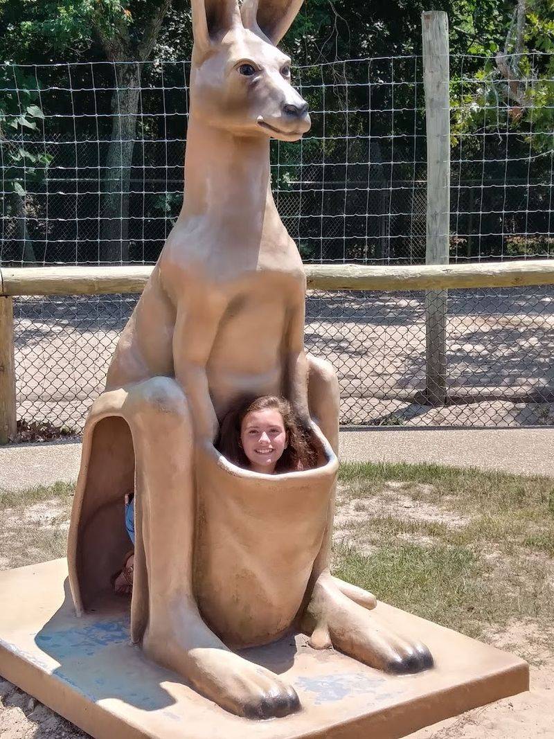Kangaroos, Anteaters, and Rare Species