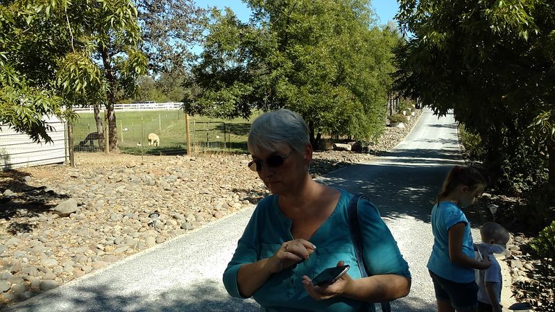 Karen Kelley: The Heart and Soul of the Farm