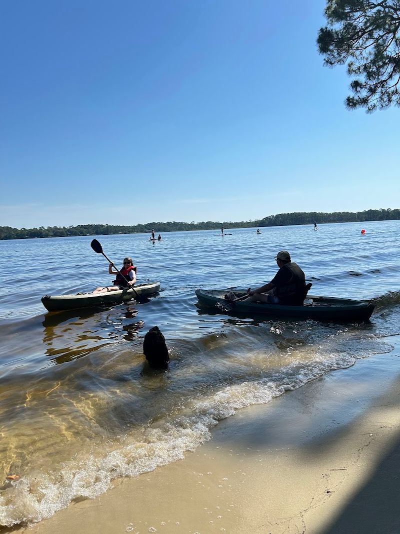 Kayak and Paddleboard Rentals Right at the Water's Edge