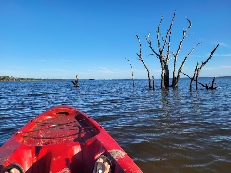 Kayaking Through Back Bay Is Unforgettable