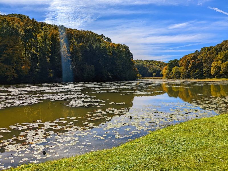 Kayaking and Boating on a Calm, Scenic Lake