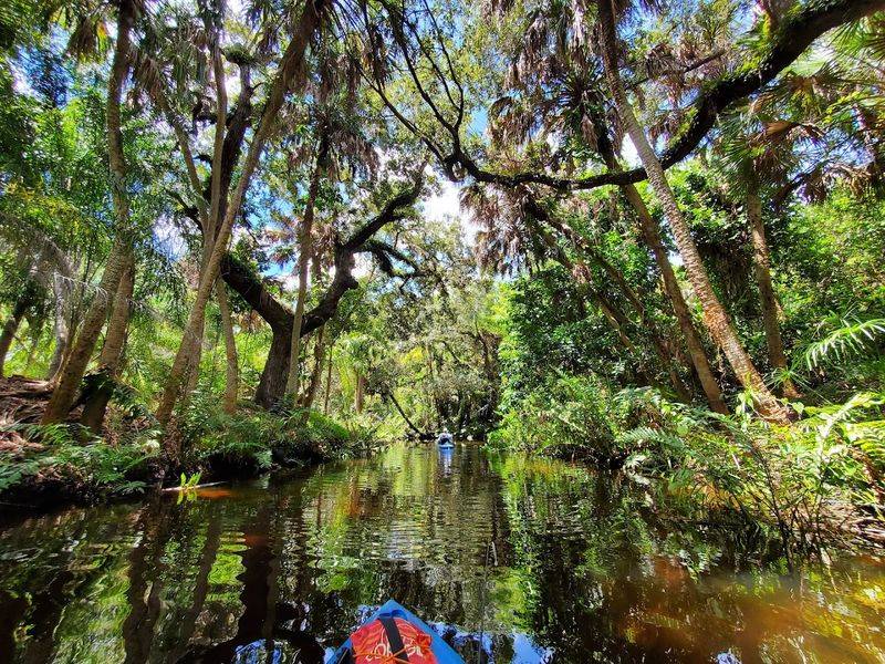 Kayaking and Canoeing the Scenic Estero River