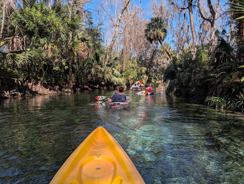 Kayaking and Canoeing the Silver River