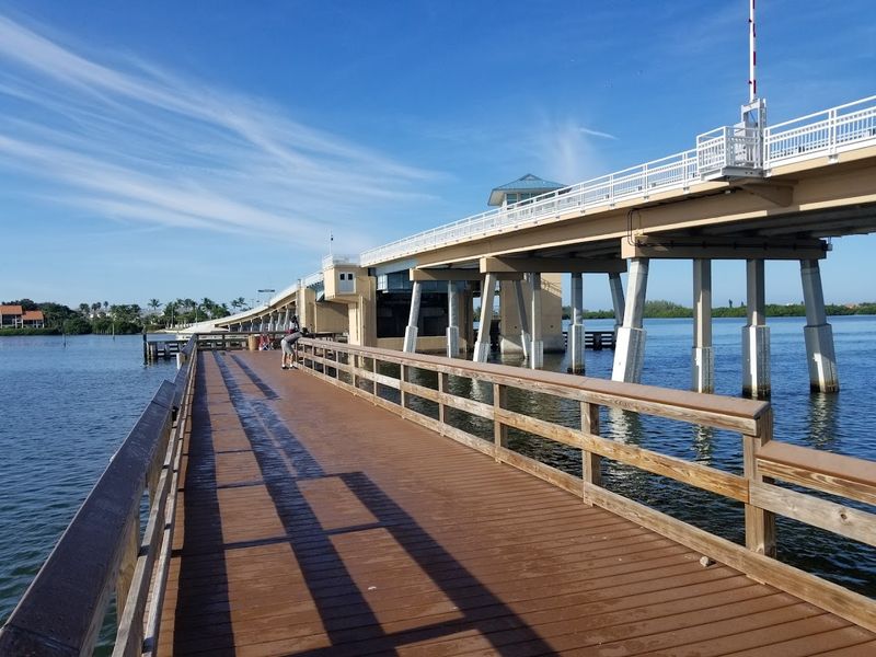 Kayaking and Paddleboarding: The Best Way to See Englewood's Waters Kayaking and Paddleboarding: The Best Way to See Englewood's Waters