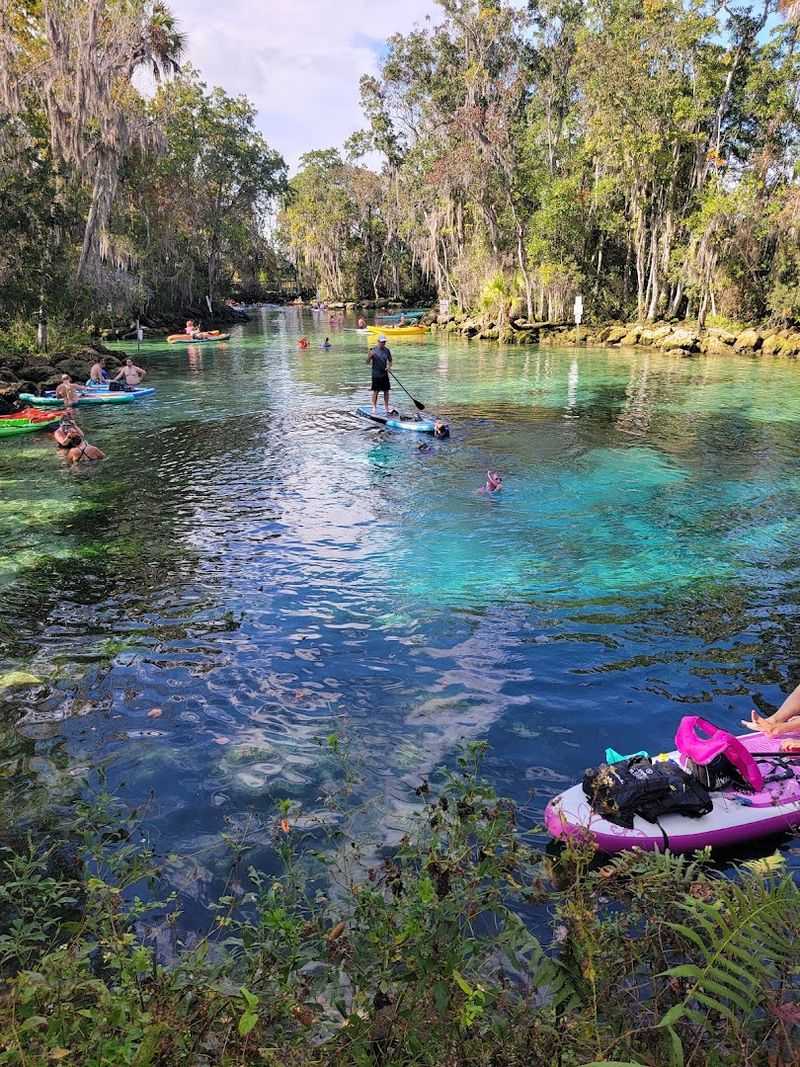 Kayaking and Paddleboarding Through a Living Painting Kayaking and Paddleboarding Through a Living Painting