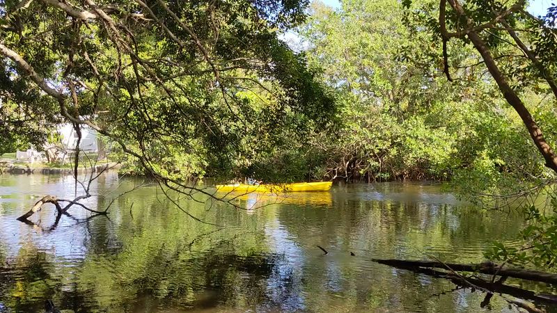 Kayaking and Water Recreation