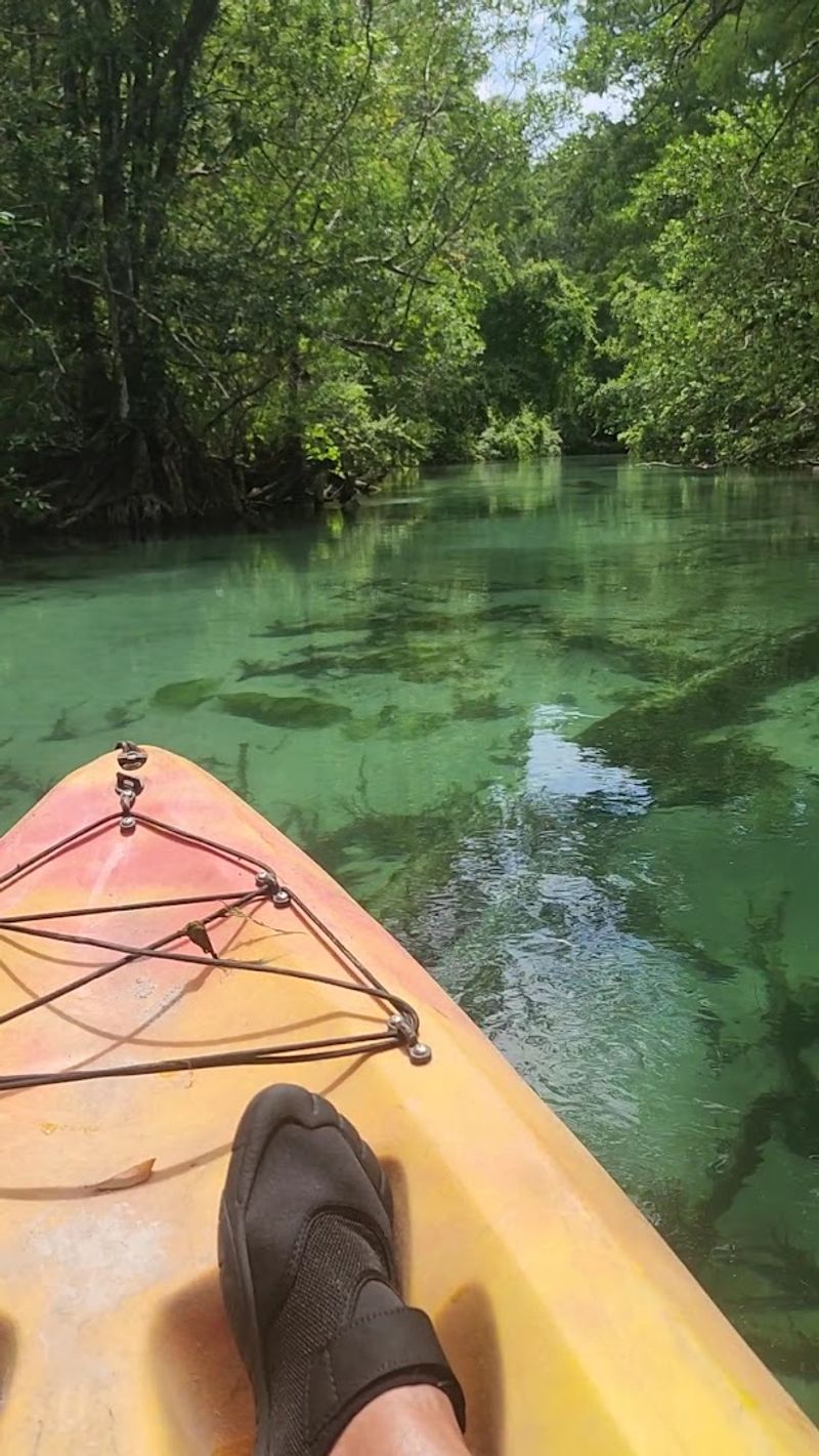 Kayaking the Weeki Wachee River