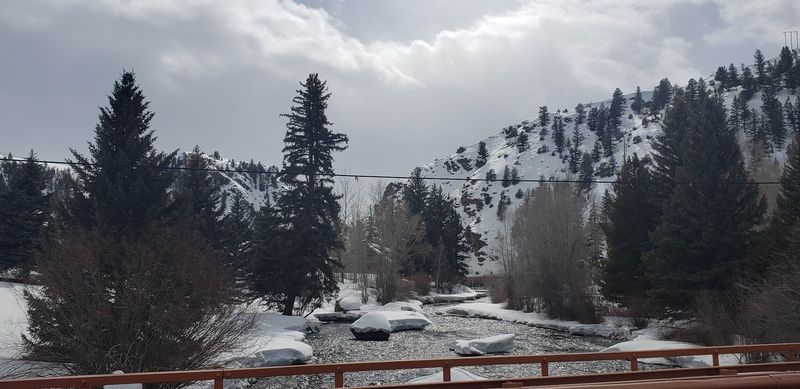 Kebler Pass and the Aspen Grove Experience