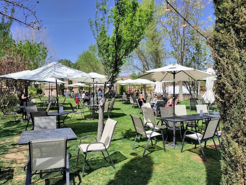 Kid-Friendly and Dog-Friendly Atmosphere