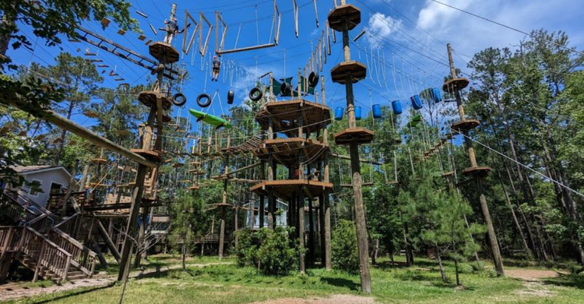 Kids And Adults Alike Will Love This Exciting Treetop Obstacle Course Adventure In