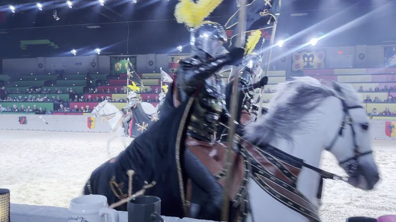 Knights in Shining Armor Put On a Thrilling Show