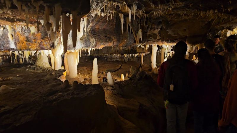 Knowledgeable and Entertaining Tour Guides Make All the Difference