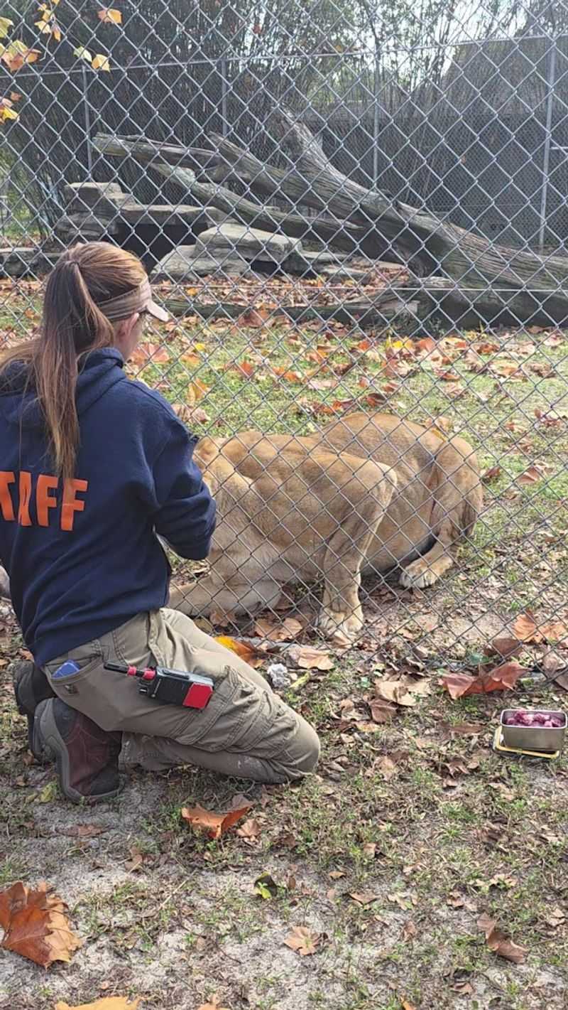 Knowledgeable and Friendly Zoo Staff