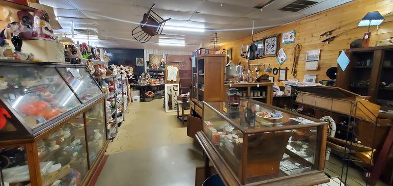 Knowledgeable and Helpful Staff Ready to Assist