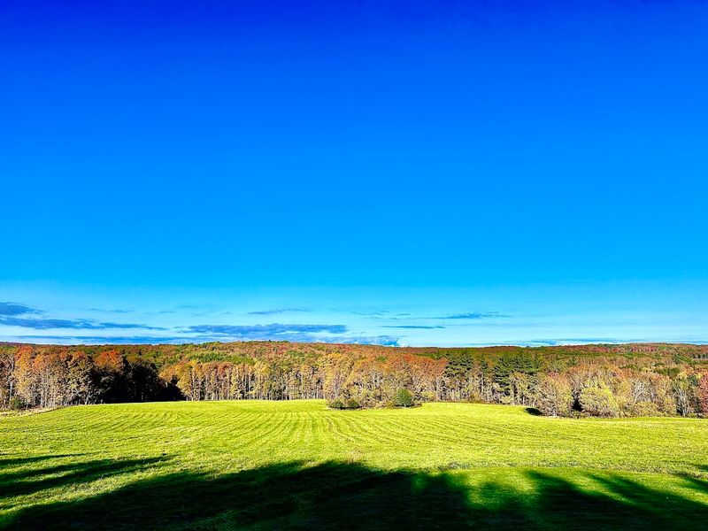 Knox Farm State Park: Wide-Open Beauty Just Steps from the Village