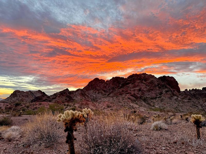 Kofa National Wildlife Refuge - Yuma, Arizona Kofa National Wildlife Refuge - Yuma, Arizona