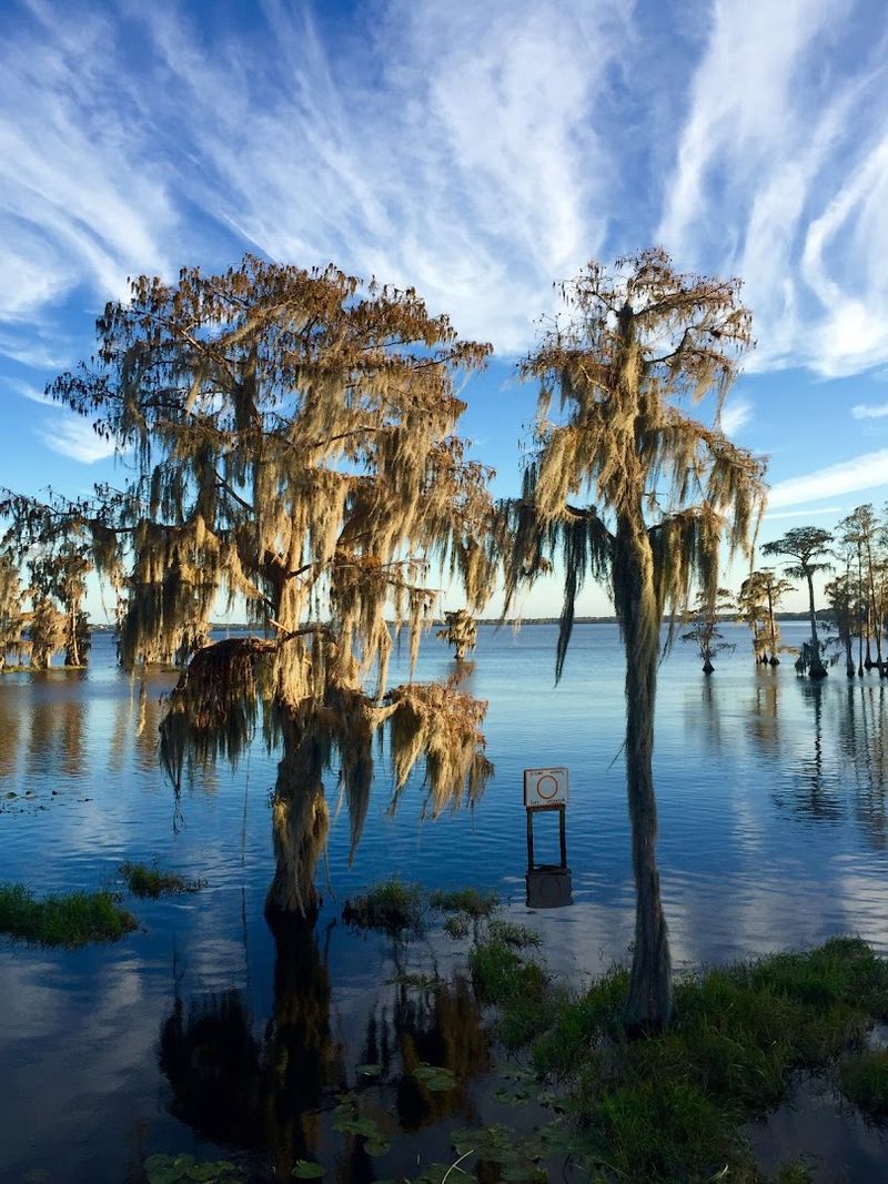 Lake County's Natural Beauty Starts Right Here