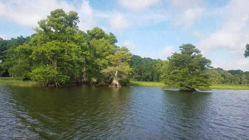Lake Istokpoga