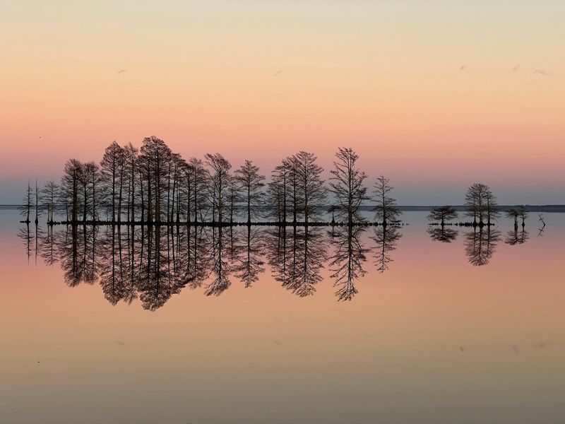 Lake Mattamuskeet National Wildlife Refuge - Hyde County, North Carolina