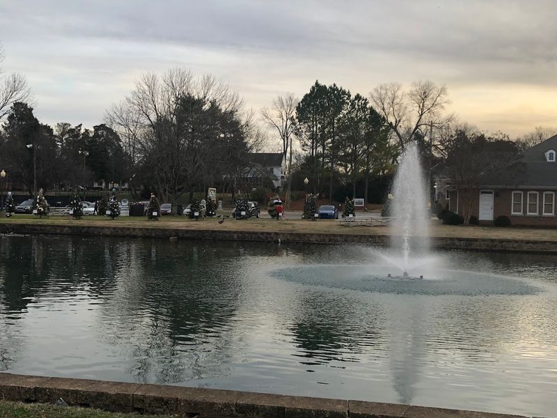 Lake Mayfield and Waterfront Relaxation