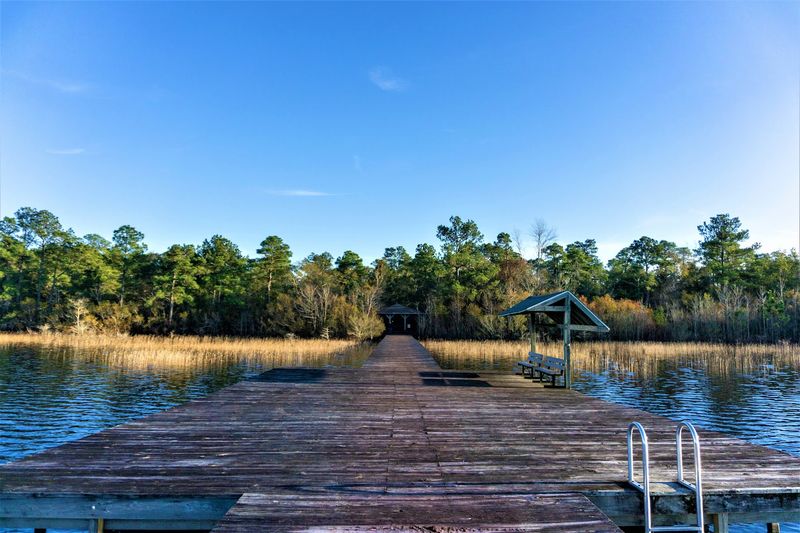 Lake Waccamaw State Park: A True Hidden Gem Lake Waccamaw State Park: A True Hidden Gem