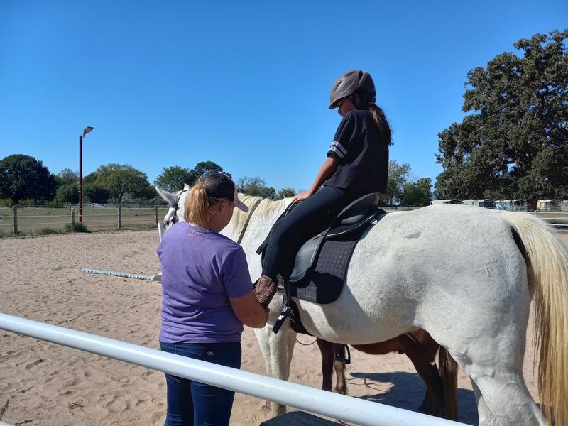 Learning to Care for Horses — Not Just Ride Them