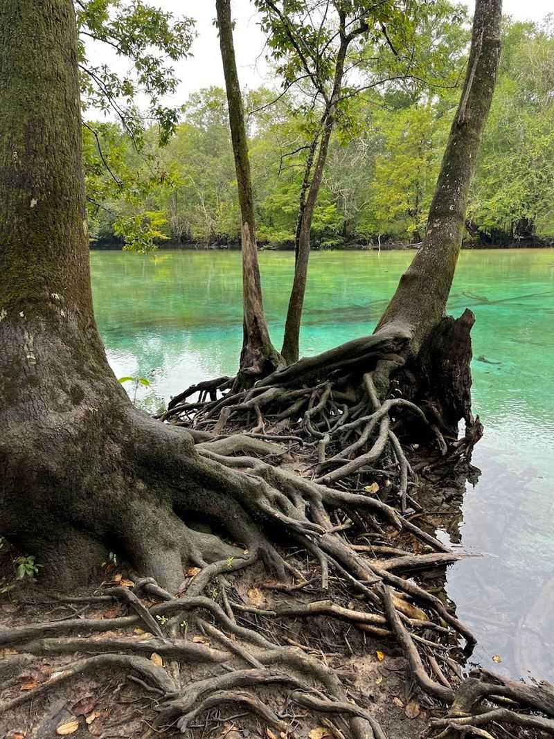 Leave No Trace: Keeping the Spring Beautiful