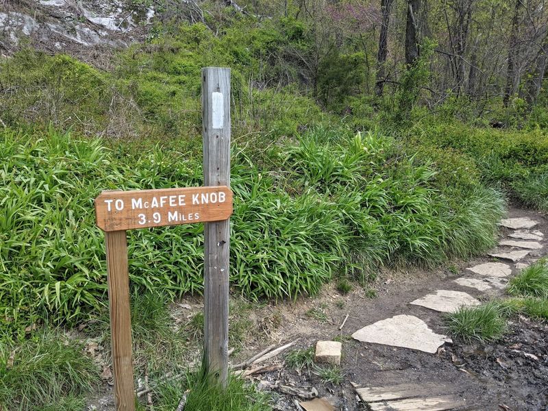 Leave No Trace: Keeping the Trail Beautiful for Everyone