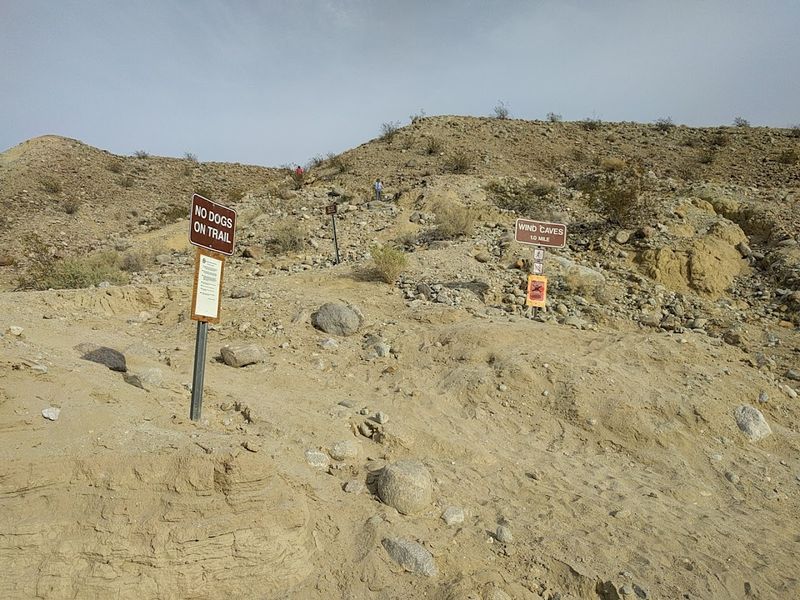 Leave No Trace: Protecting a Fragile Desert Gem Leave No Trace: Protecting a Fragile Desert Gem