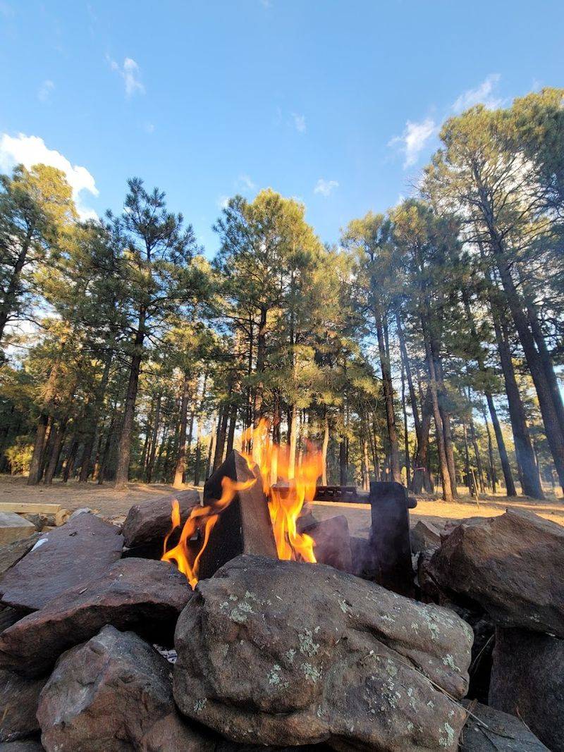 Leave No Trace and Responsible Forest Stewardship Leave No Trace and Responsible Forest Stewardship