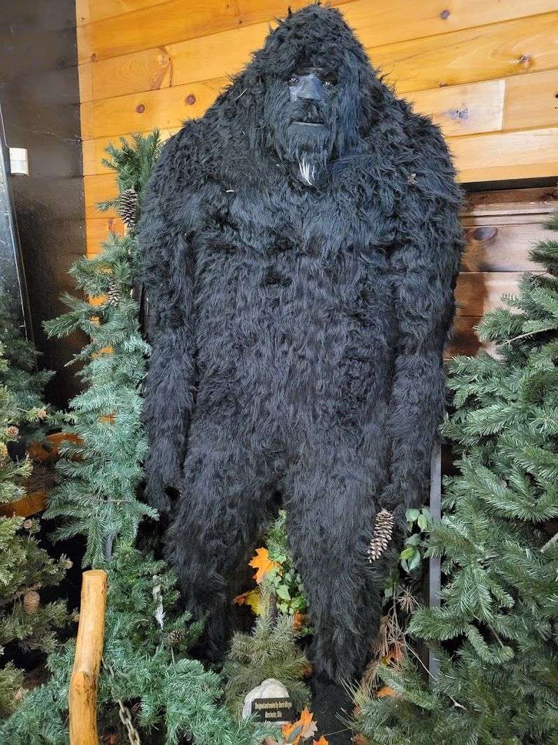 Life-Size Sasquatch Figures That Will Stop You in Your Tracks