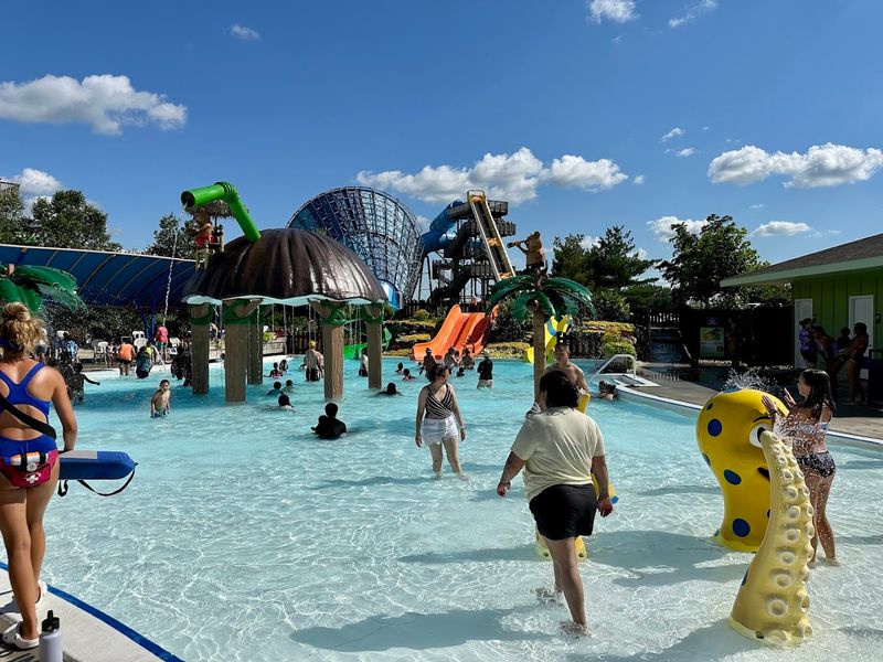 Lifeguards and Safety: A Park That Takes Protection Seriously