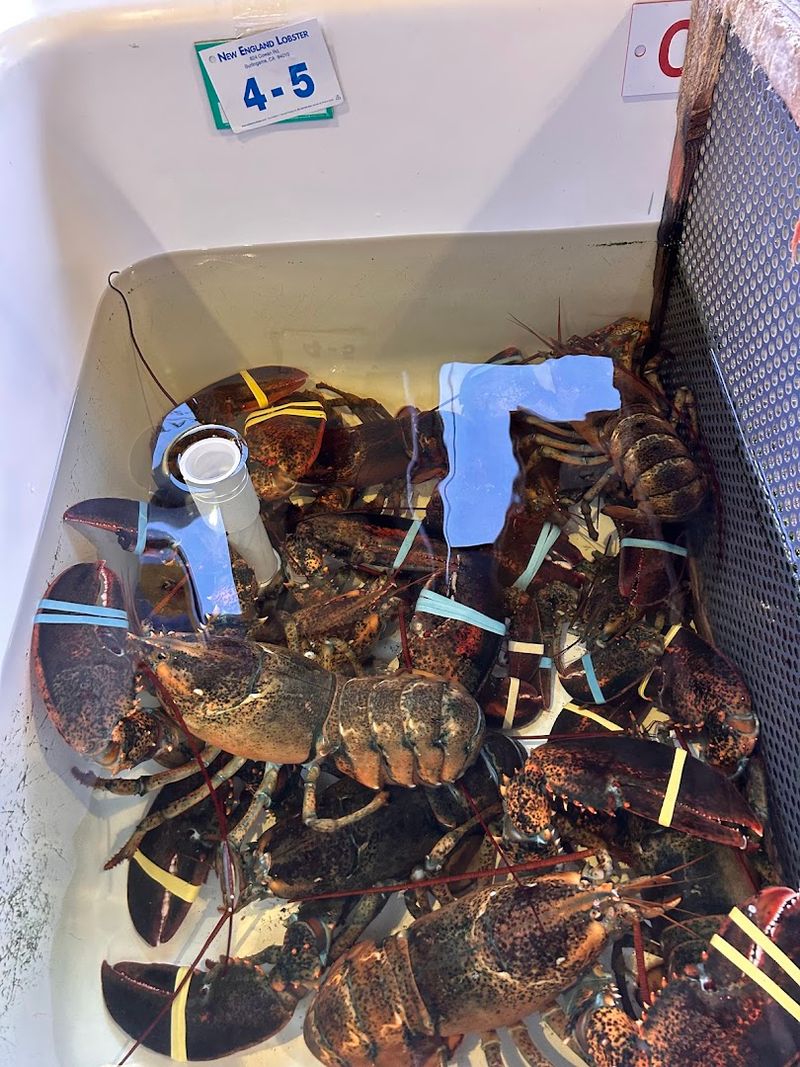 Live Lobster Tanks That Set the Mood Right Away