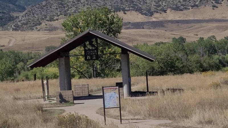 Live Music, Food Trucks, and Kids Activities Right at the Campground