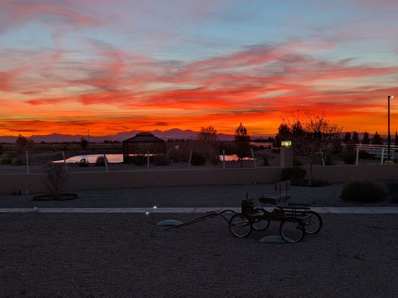 Live Music Under the Arizona Sky