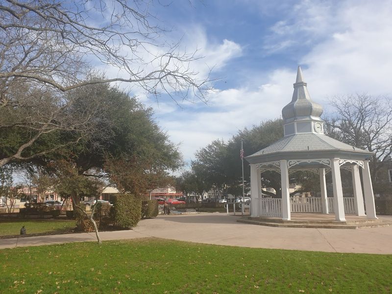 Live Music Under the Texas Sky