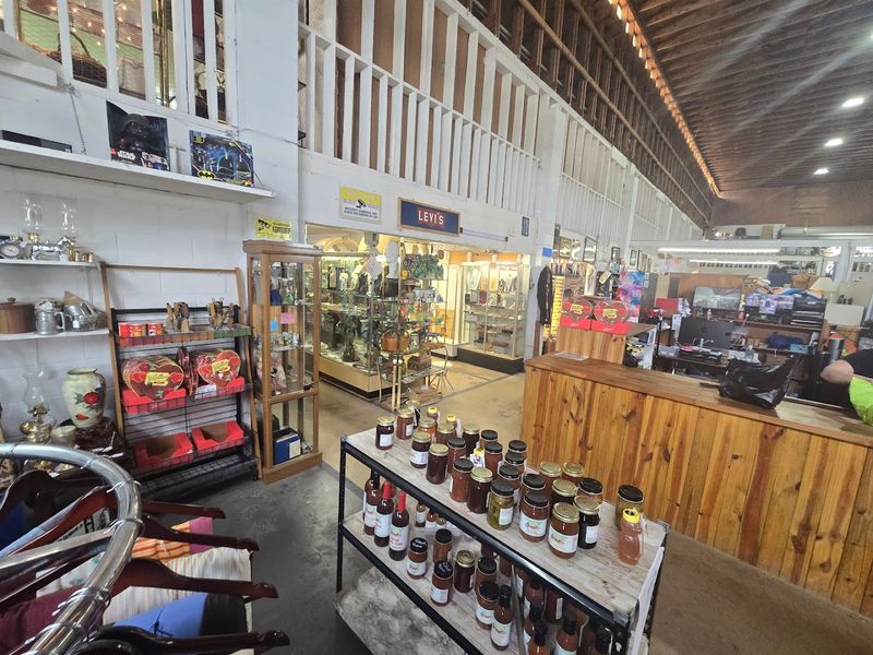 Live Music and Community Atmosphere